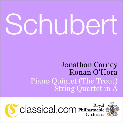 Royal Philharmonic Chamber Ensemble & Ronan O'Hora