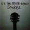 Honey - Black Eyed Snakes lyrics