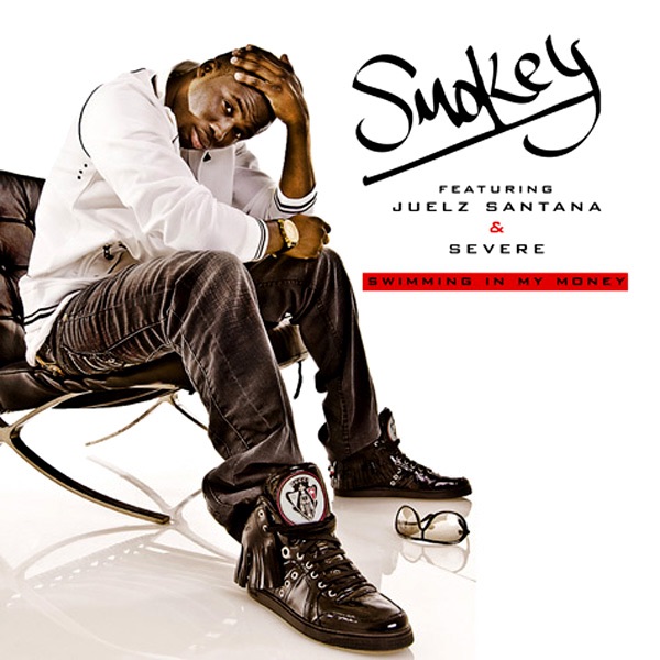 Swimming In My Money (feat. Juelz Santana & Severe) cover art