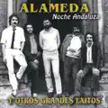 Noche andaluza