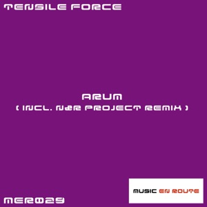 Arum (N&R Project Remix)