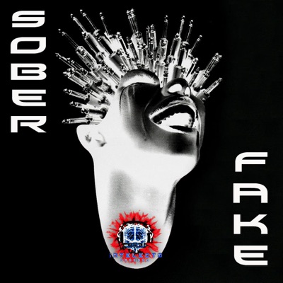 Sober Fake - Single