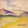 Paul Adams - Rain and Wood