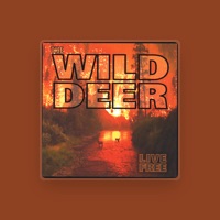 The Wild Deer
