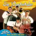Still Ist's In Den Bergen