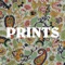 Blue Jay - Prints lyrics