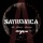 Satronica - Blood On Fire (Waldhaus Vinyl Remix)