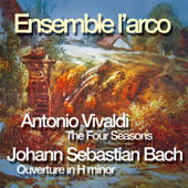 Winter: Movement II, Largo
