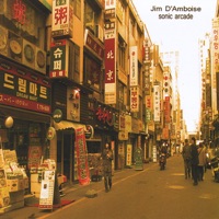 Album cover for Way Down South by Jim D'Amboise
