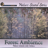 Forest Ambience (Nature Sounds Only Version) - Nature Sound Series