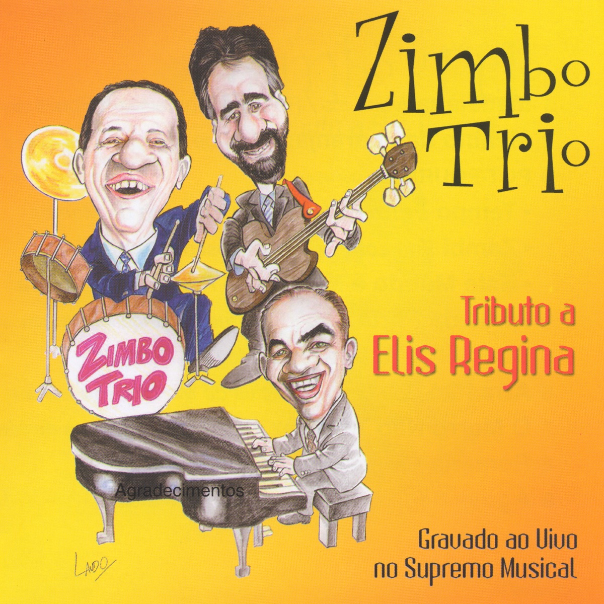 Tributo a Elis Regina cover art