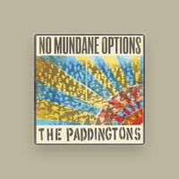 The Paddingtons