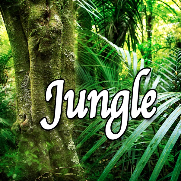 Jungle (Nature Sounds)