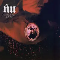 algunos musicos fueron nosotros — Nu
