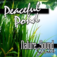 Peaceful Pond (Nature Sounds) - Nature Sound Series