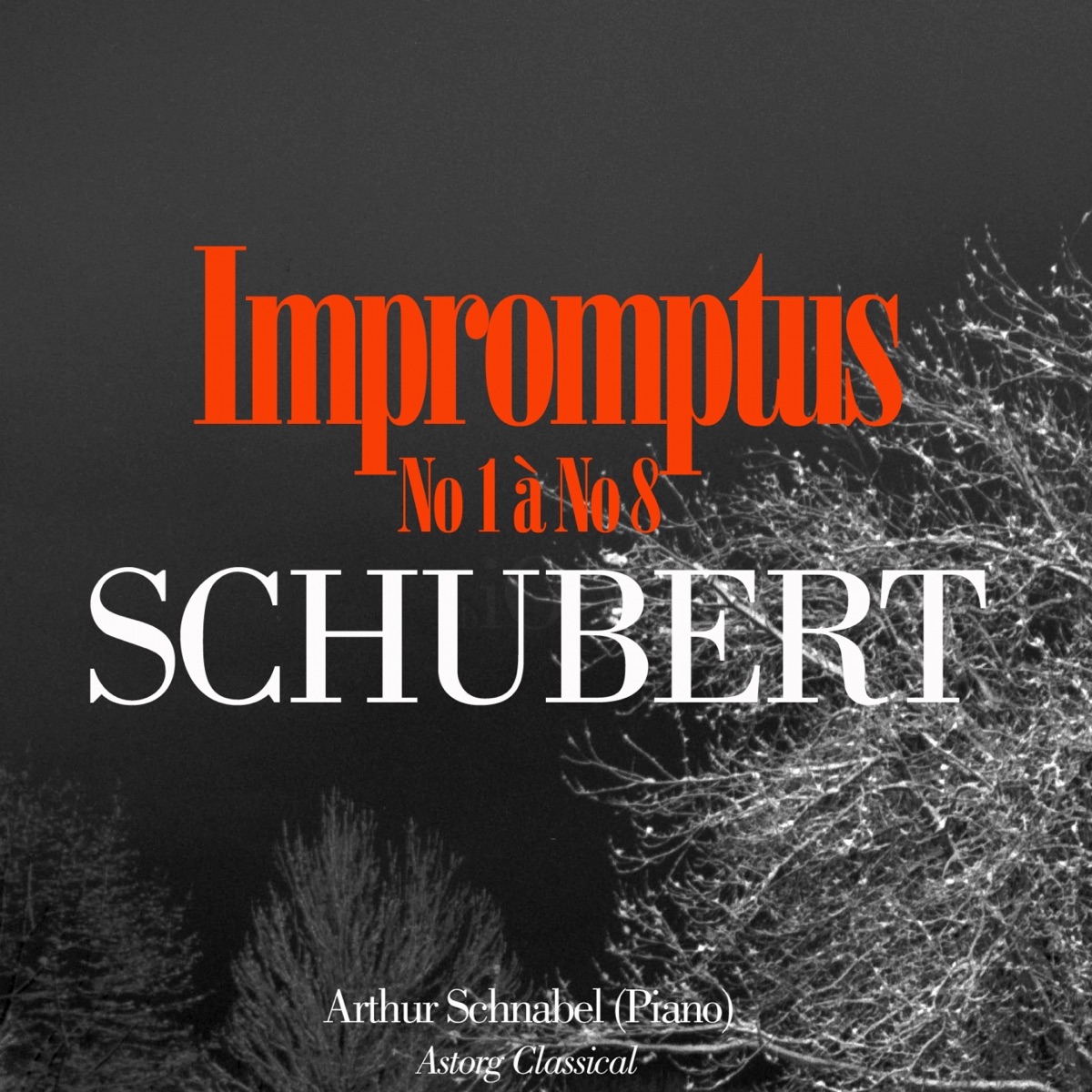 Schubert: Impromptus cover art