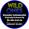 Wild Ones (Originally Performed By Flo Rida feat Sia) [Karaoke Instrumental] - Karaoke All Hits