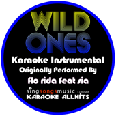 Wild Ones (Originally Performed By Flo Rida feat Sia) [Karaoke Instrumental]