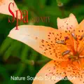 Sound Of Soul 2