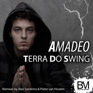 Terra Do Swing - Single