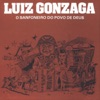 Luiz Gonzaga - Ave Maria Sertaneja