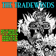 The Tradewinds - New York's a Lonely Town