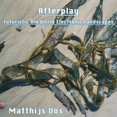 Afterplay - Futuristic Old World Electronic Landscapes