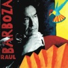 Raul Barboza