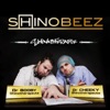 Shinobeez - Warning