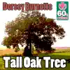 Tall Oak Tree