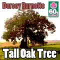 Tall Oak Tree