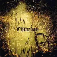 THE JUNGLE — PHINEHAS