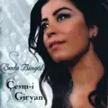 Yürek Yar Elinden