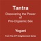 Chap2 - TANTRIC SEXUAL PRACTICES - Yogani lyrics