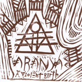 Travesty of Perception Aranya