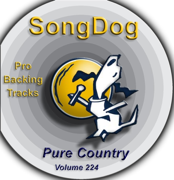 Something More (In the Style of Sugarland) [Karaoke Version] - Karaoke All-Stars