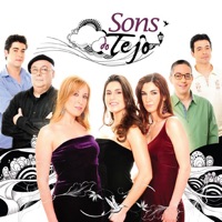 malmequer bem me quer