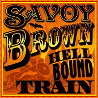 Ain't No Need to Worry — Savoy Brown