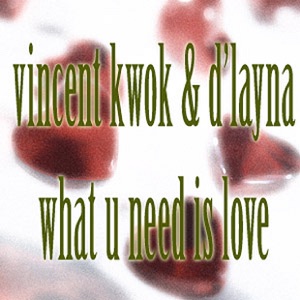 What U Need Is Love (VK Souled Out Vocal)
