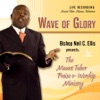 Wave of Glory