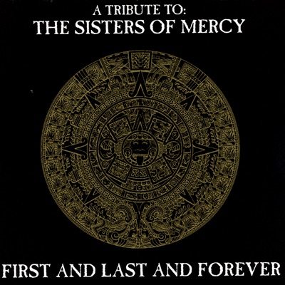 A Tribute to the Sisters of Mercy - First and Last and Forever