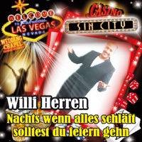 Nachts wenn alles schläft (Solltest du feiern gehn) - Single - Willi Herren