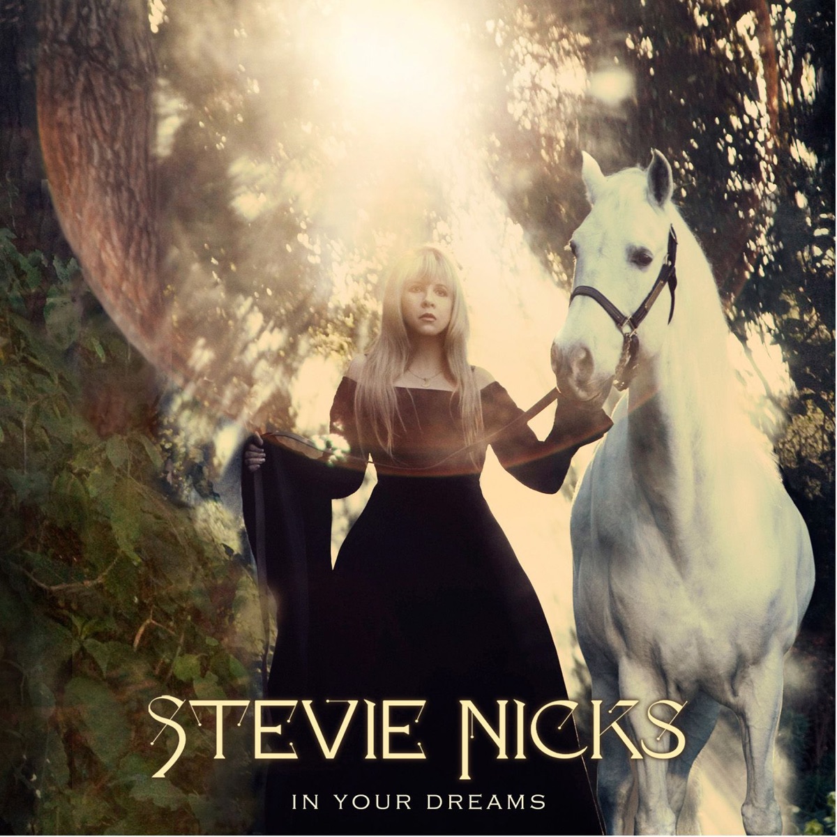 In Your Dreams (Deluxe Version) cover art