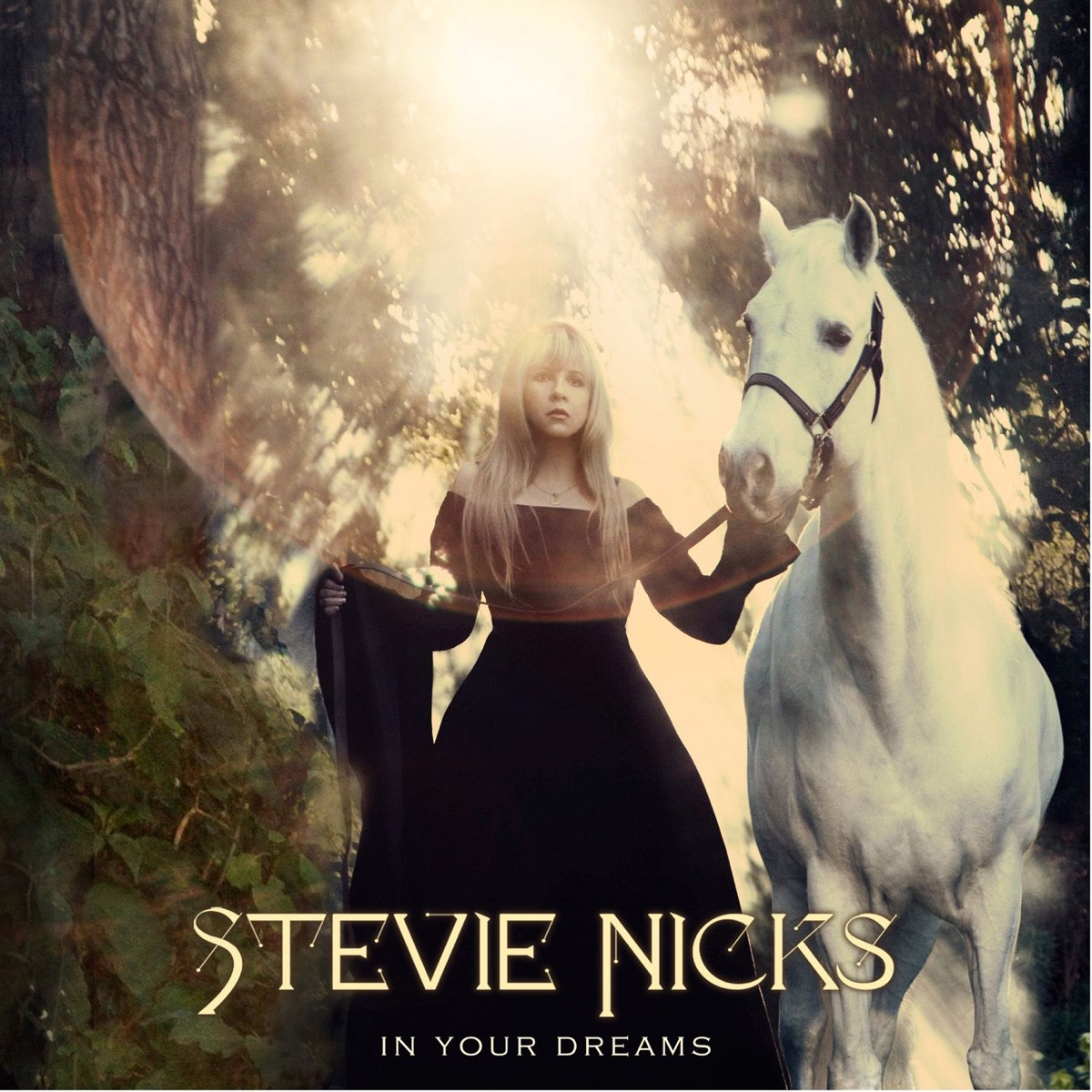 In Your Dreams (Deluxe Version) by Stevie Nicks on Apple Music