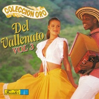 Los Chiches Vallenatos - Te Vere Llorar