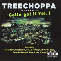 TreeChoppa Presents: Gotta Get It Vol. 1 - TreeChoppa