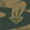 Somebody New (feat. Georg Levin)