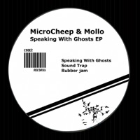 Speaking With Ghosts - Single - Microcheep & Mollo