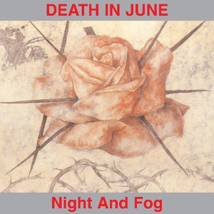 Night and Fog