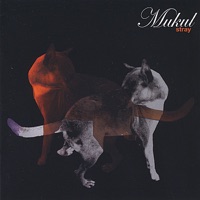 Stray - Mukul